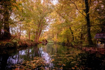Foto vom Fluss und den Bäumen mit gelben Blättern im Herbst