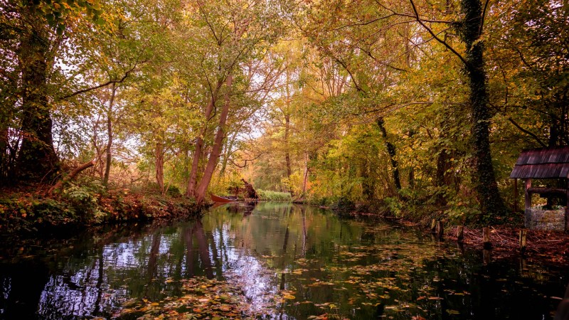 Foto vom Fluss und den Bäumen mit gelben Blättern im Herbst